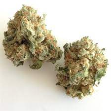 Buy White Widow – Hybrid online Canada